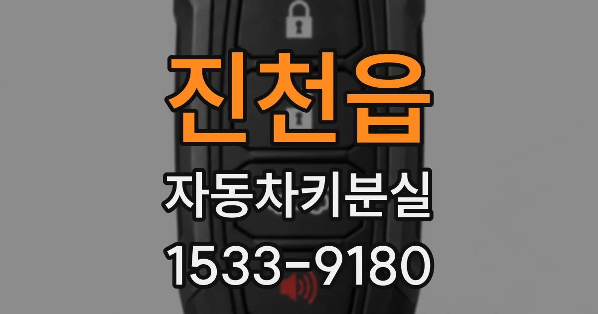 진천읍 자동차키분실
