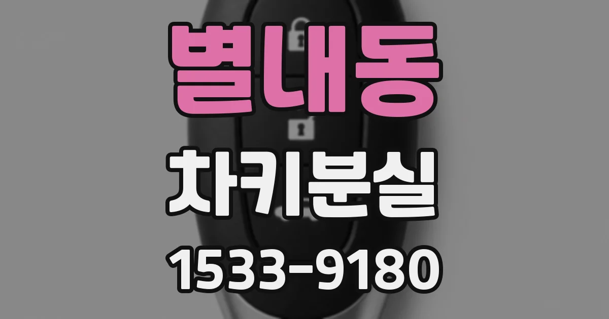별내동 차키분실