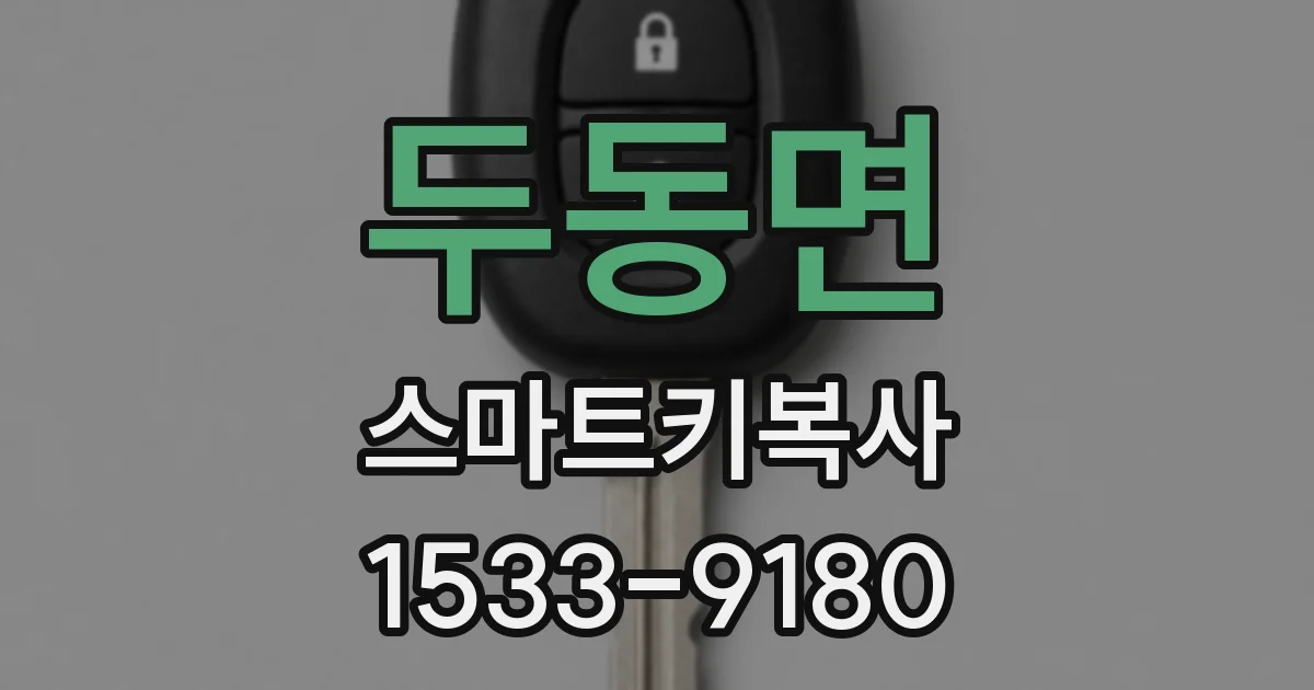 두동면 스마트키복사