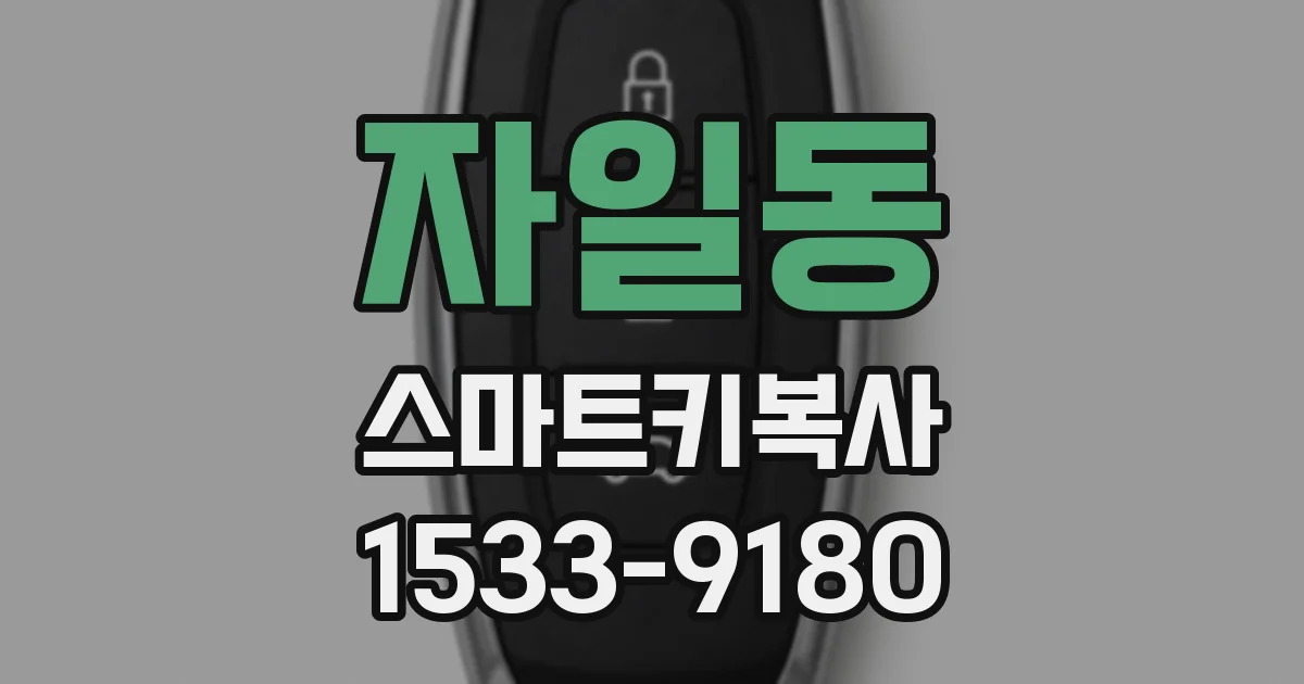 자일동 스마트키복사