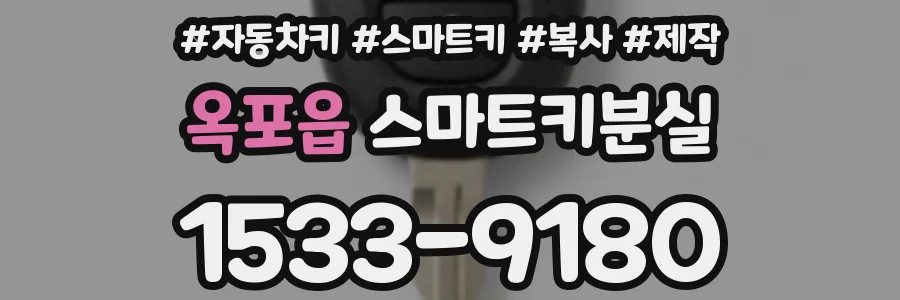 옥포읍 스마트키분실