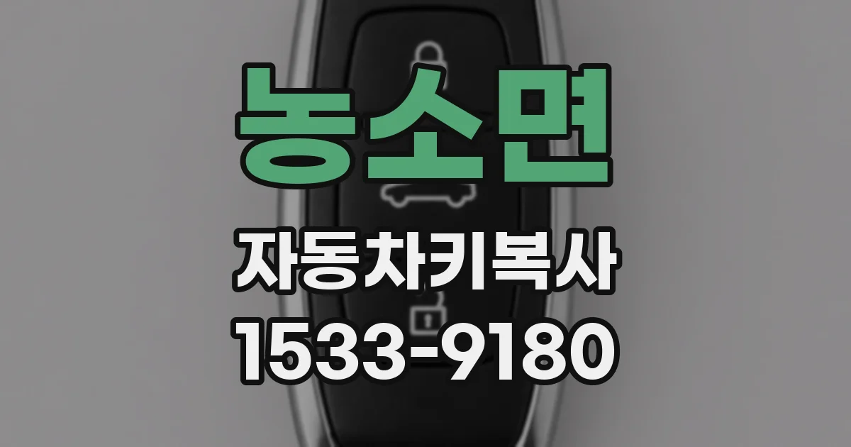 농소면 자동차키복사