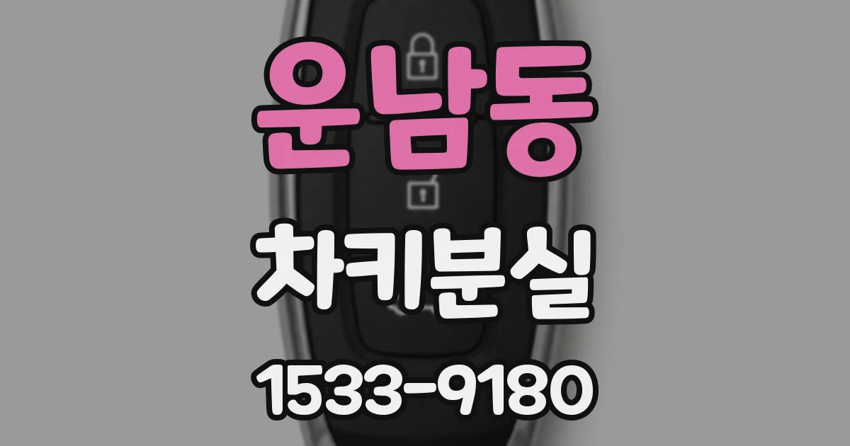 운남동 차키분실