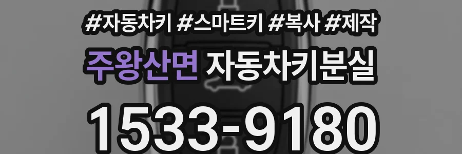 주왕산면 자동차키분실