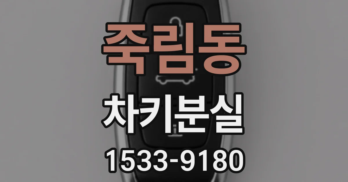 죽림동 차키분실