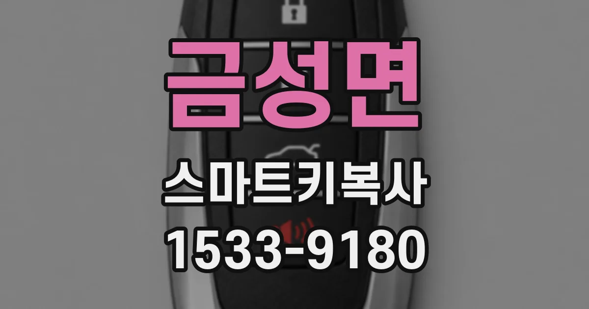 금성면 스마트키복사