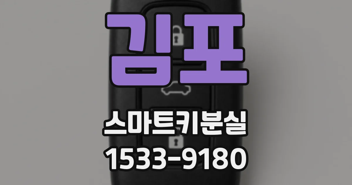 김포 스마트키분실