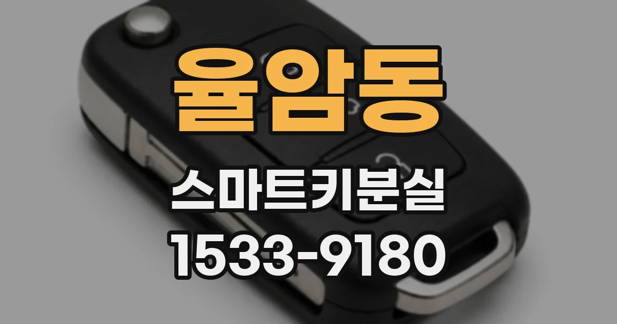 율암동 스마트키분실