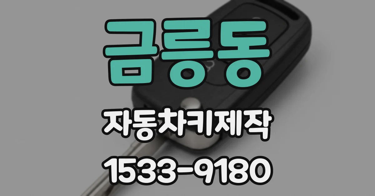 금릉동 자동차키제작