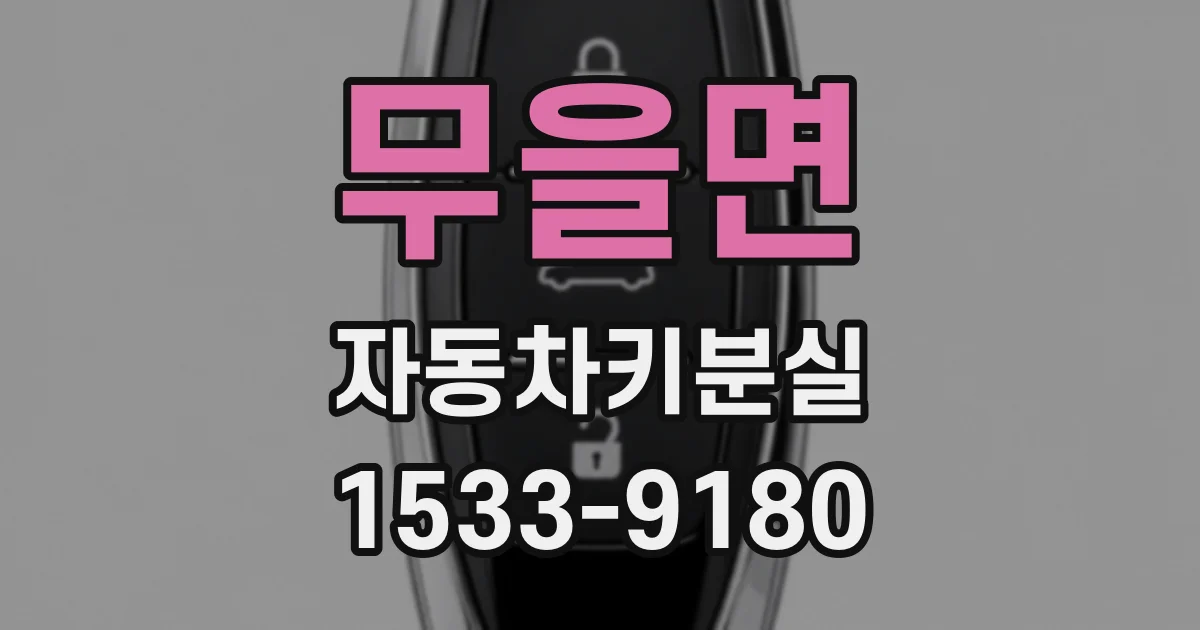 무을면 자동차키분실