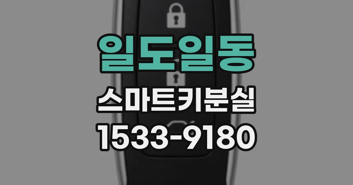 일도일동 스마트키분실