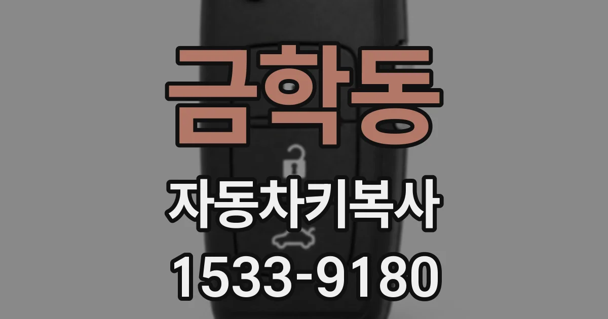 금학동 자동차키복사