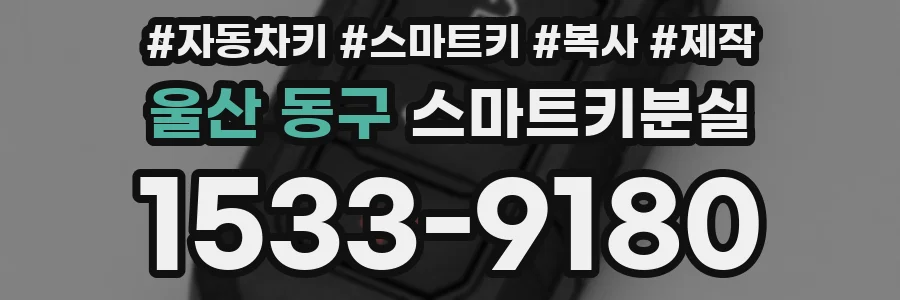 울산 동구 스마트키분실