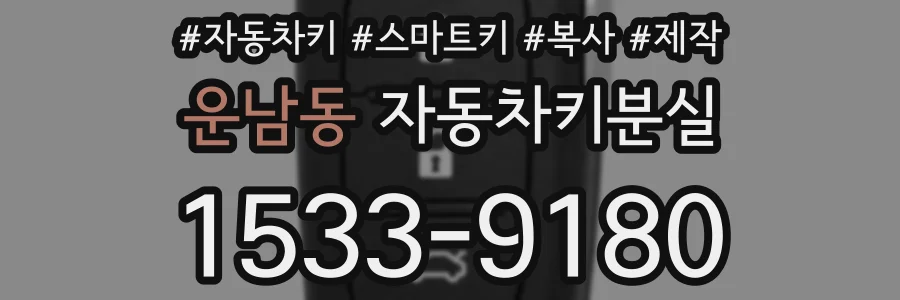 운남동 자동차키분실