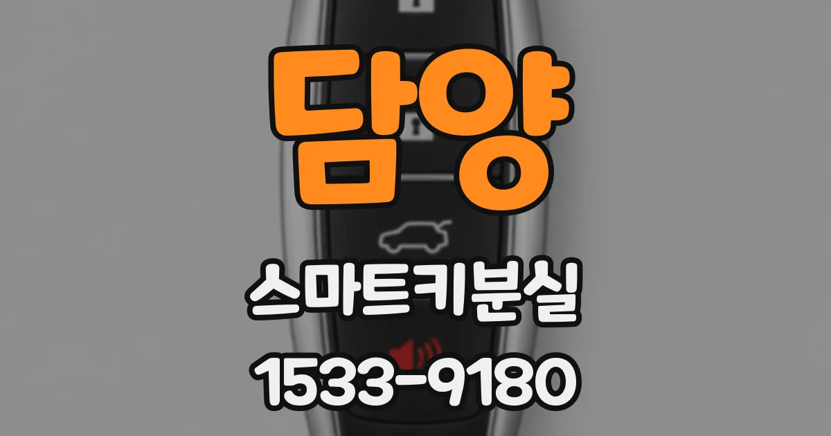 담양 스마트키분실
