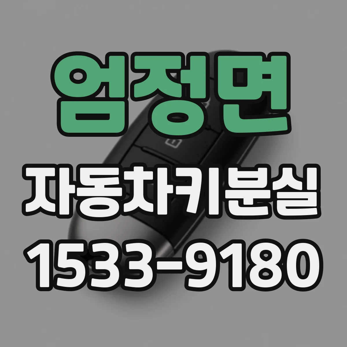 엄정면 자동차키분실