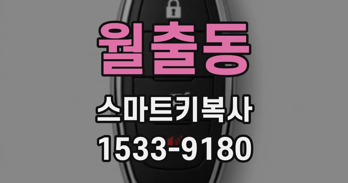 월출동 스마트키복사