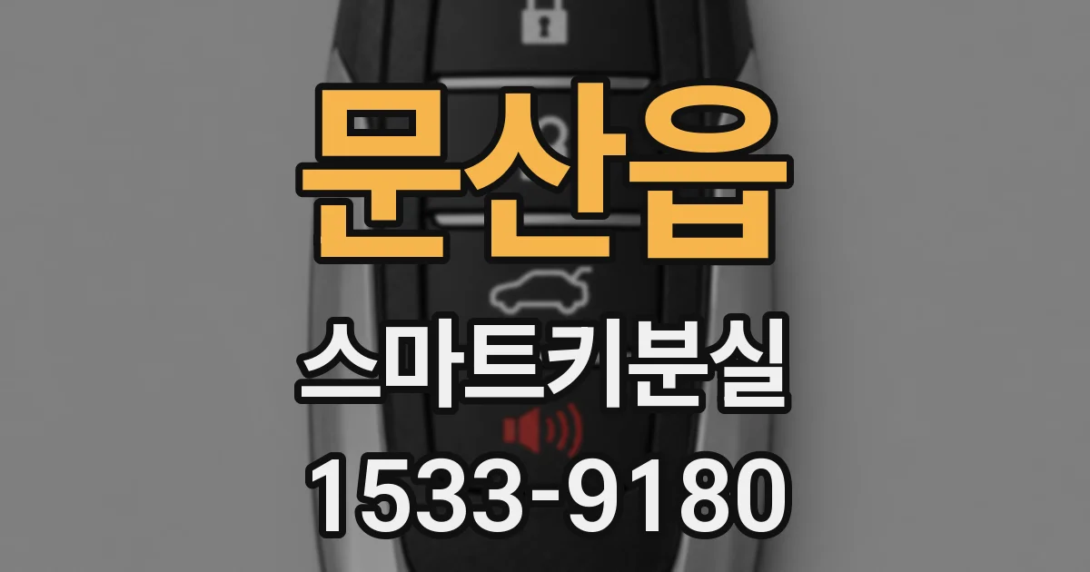문산읍 스마트키분실