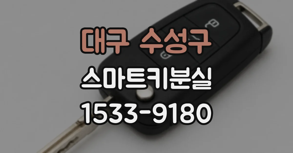 대구 수성구 스마트키분실