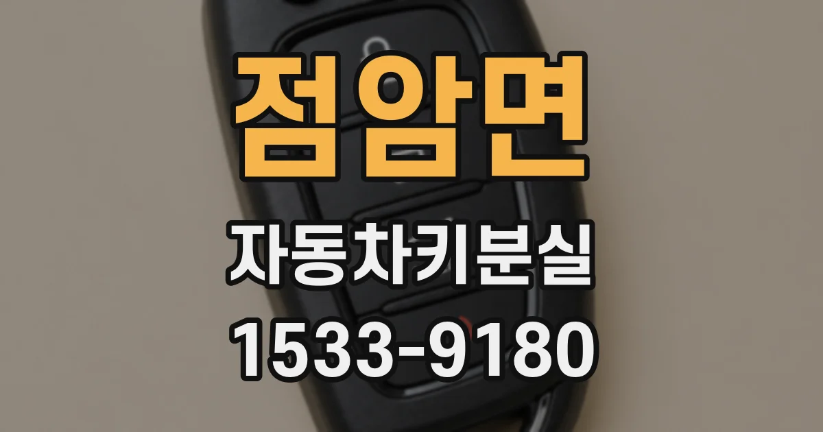 점암면 자동차키분실