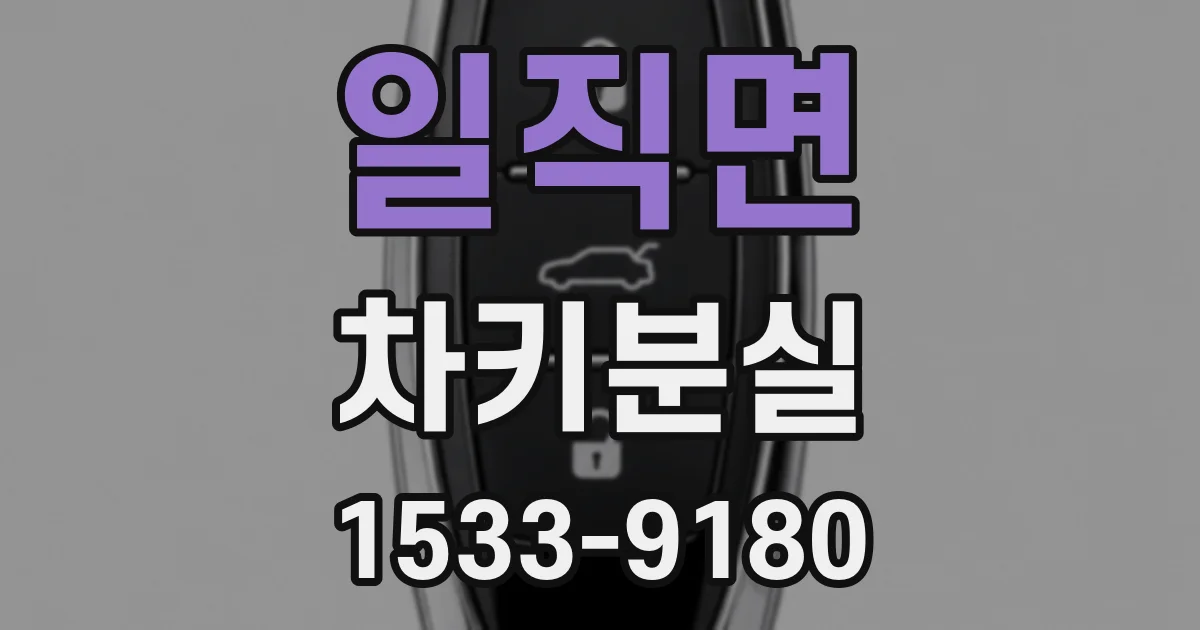 일직면 차키분실