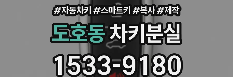 도호동 차키분실
