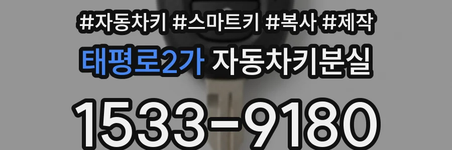 태평로2가 자동차키분실