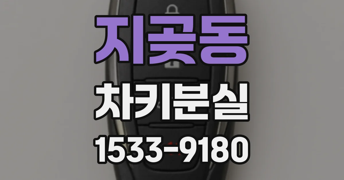 지곶동 차키분실