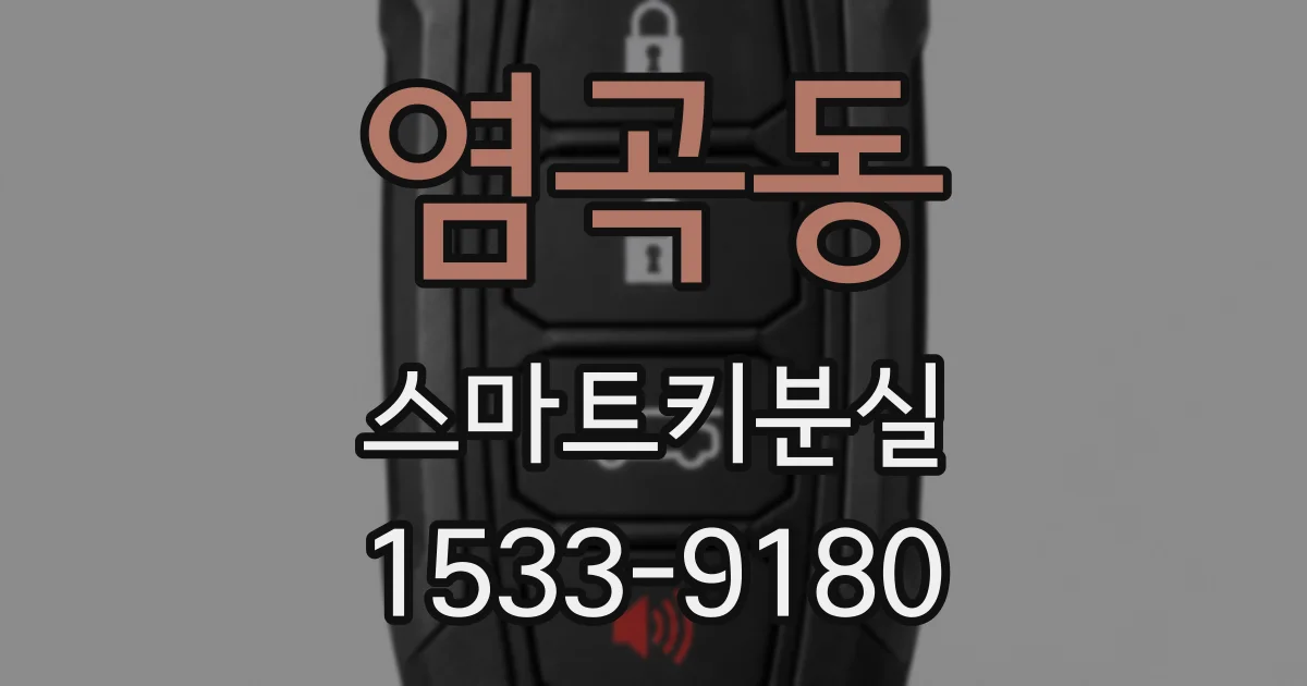 염곡동 스마트키분실