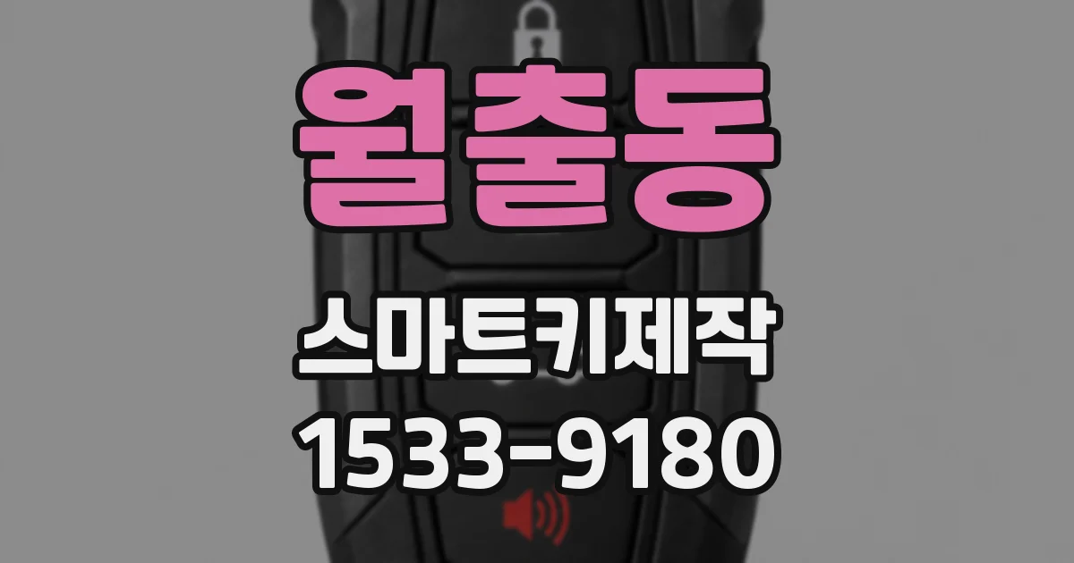 월출동 스마트키제작