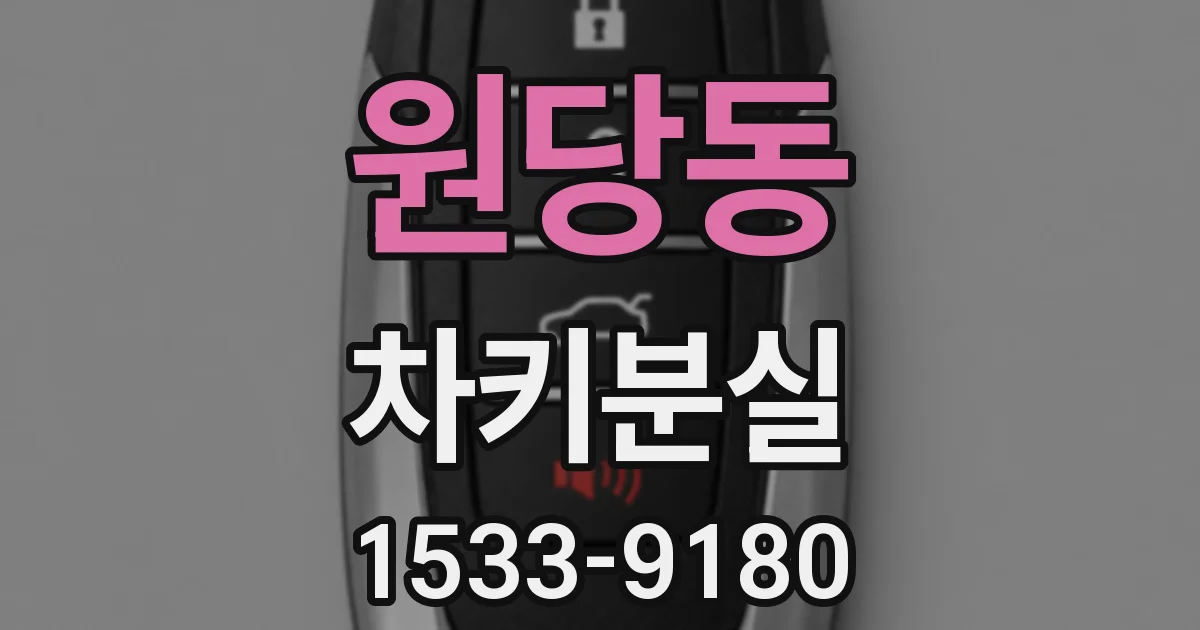원당동 차키분실