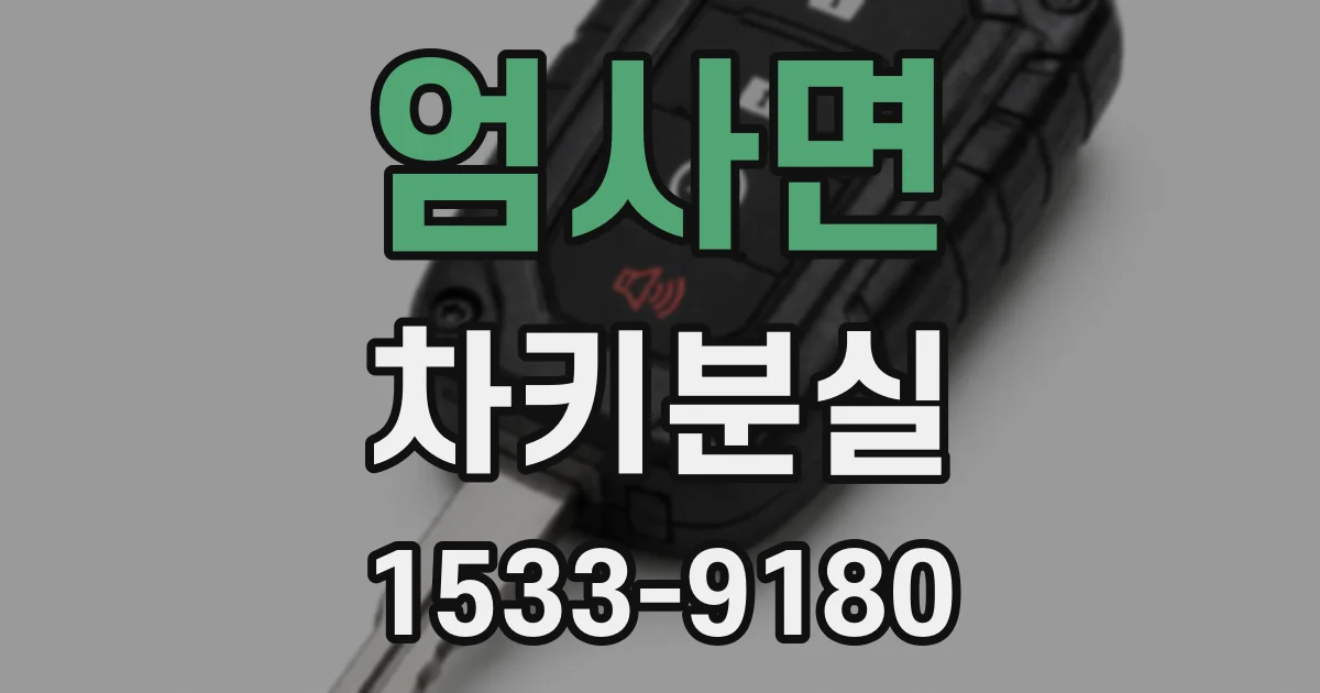 엄사면 차키분실