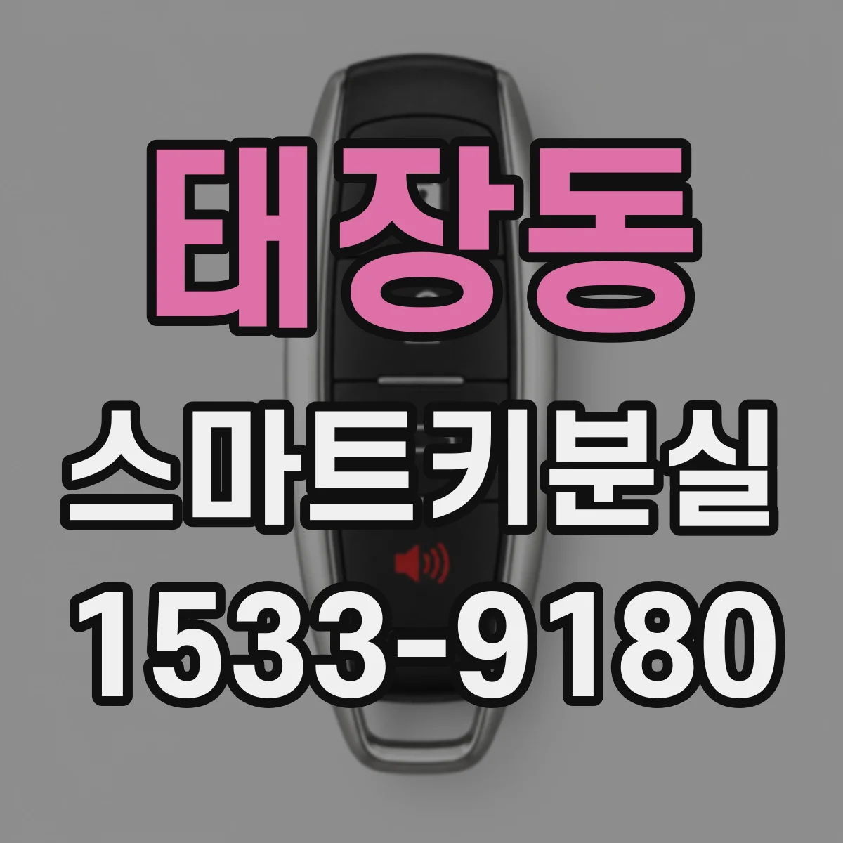 태장동 스마트키분실