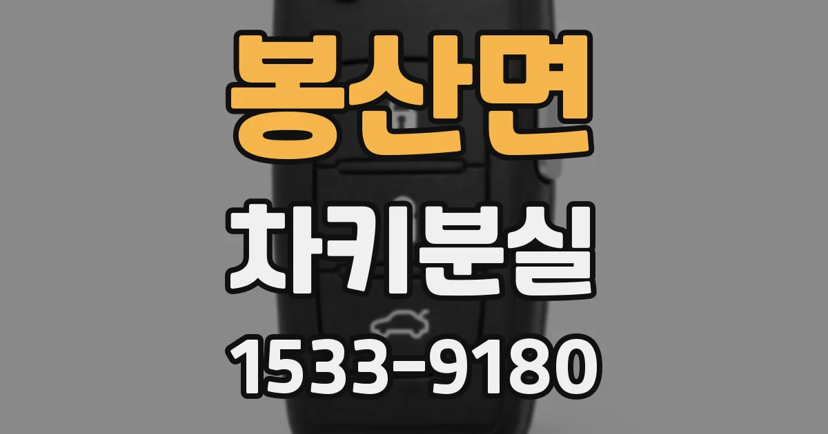 봉산면 차키분실