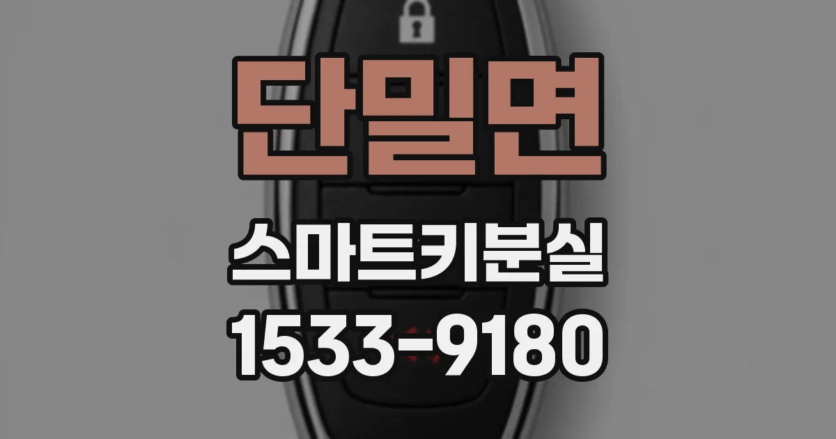 단밀면 스마트키분실