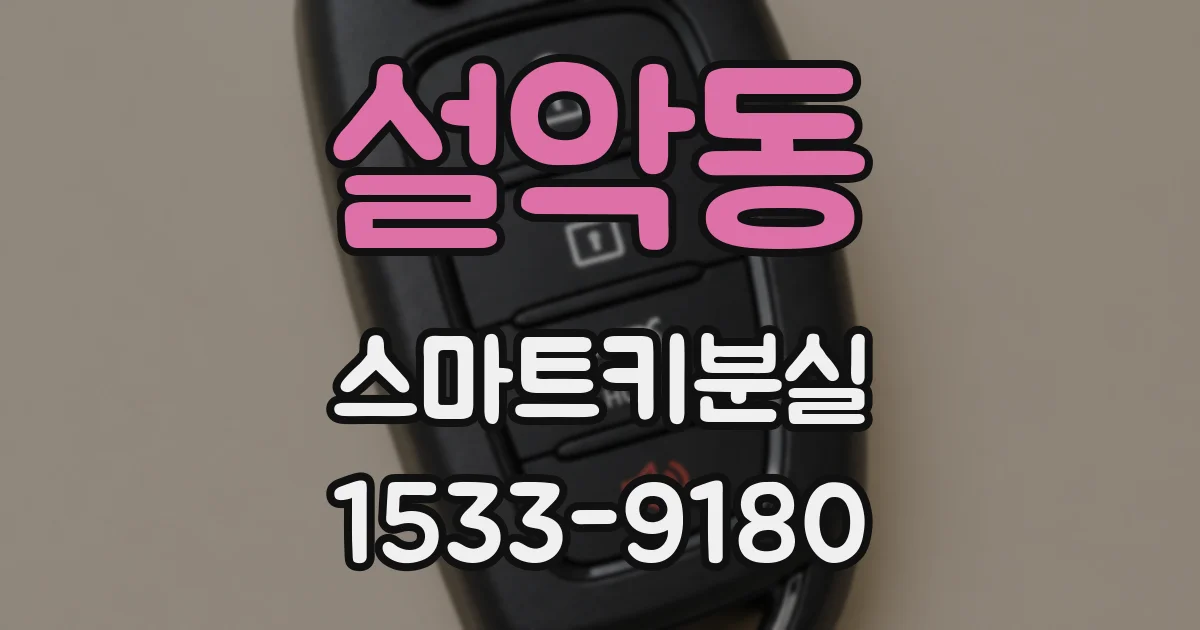 설악동 스마트키분실