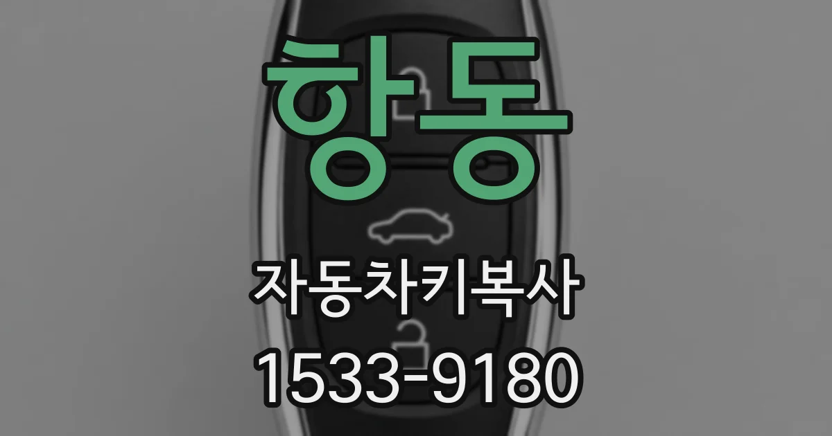항동 자동차키복사