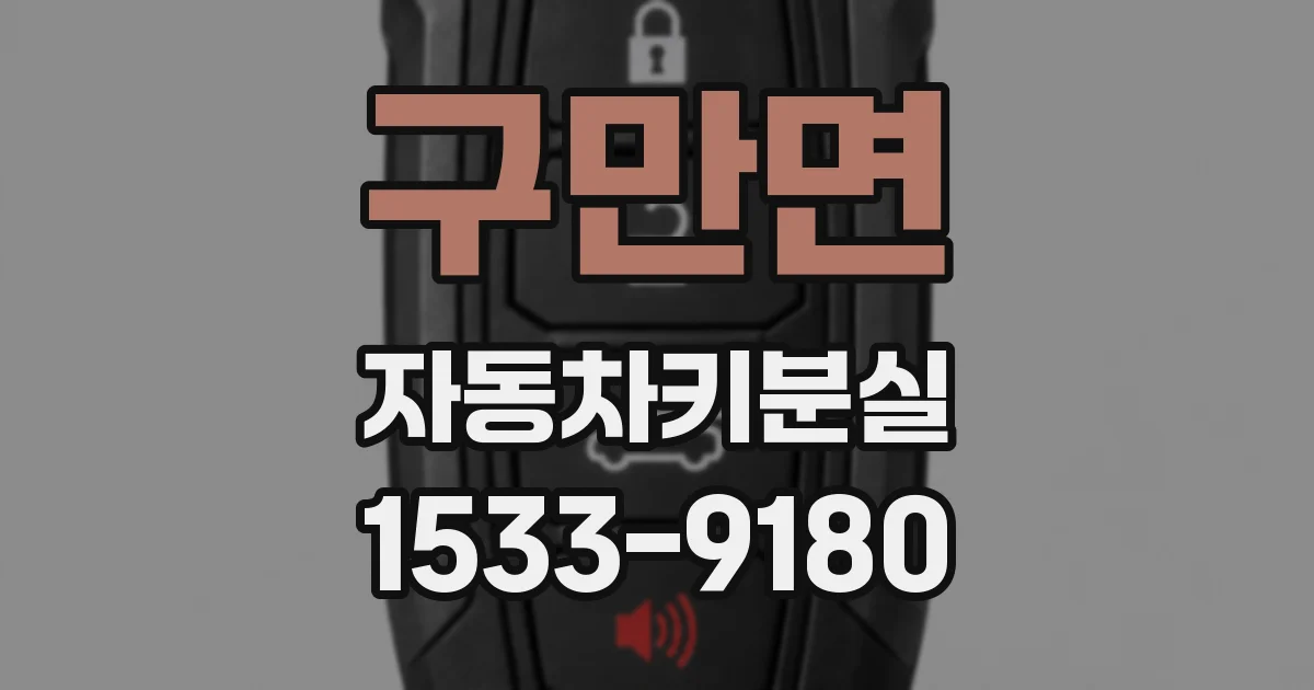 구만면 자동차키분실