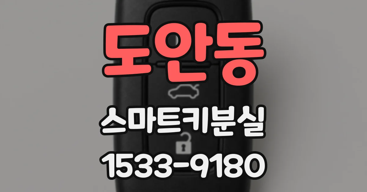 도안동 스마트키분실