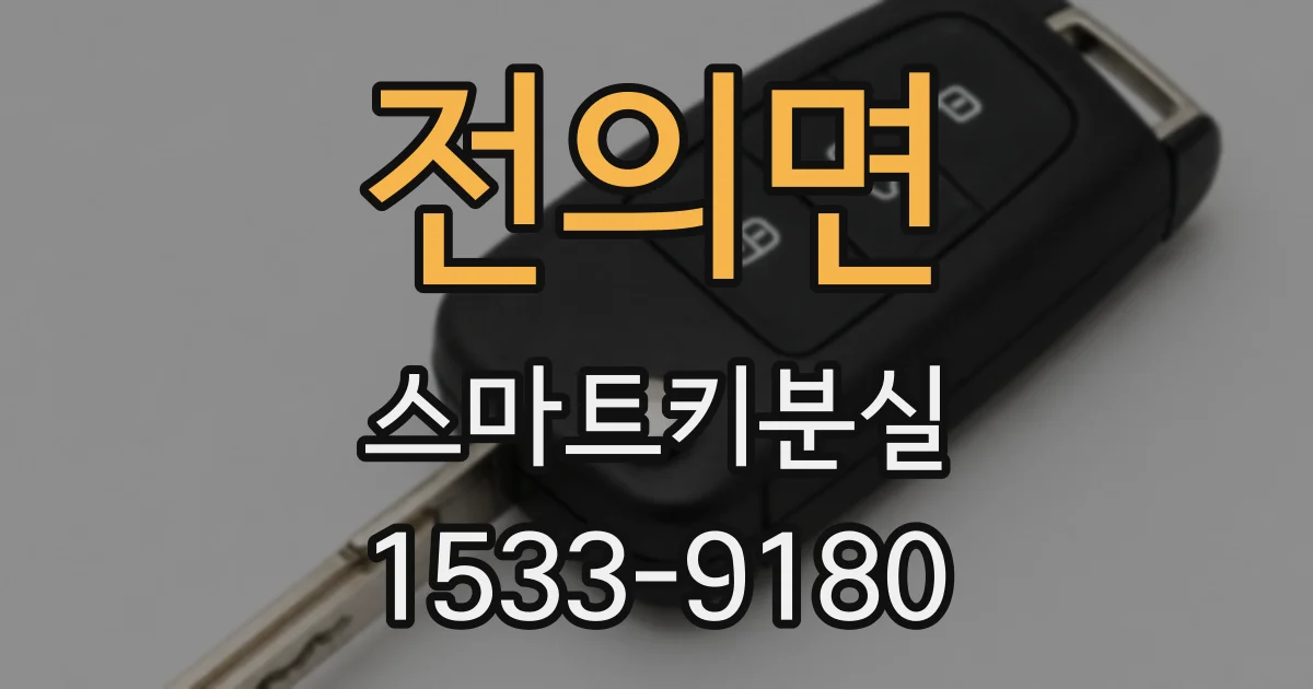 전의면 스마트키분실