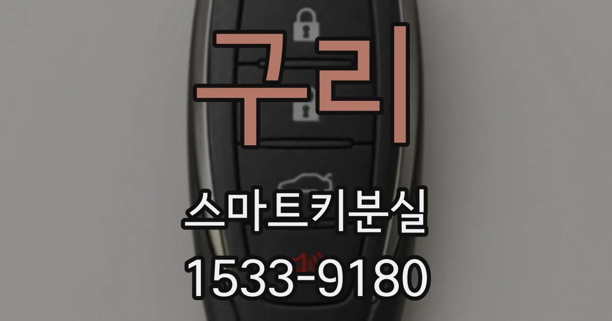 구리 스마트키분실