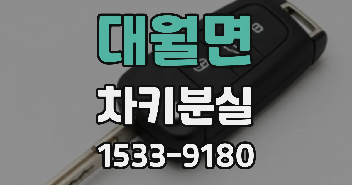 대월면 차키분실