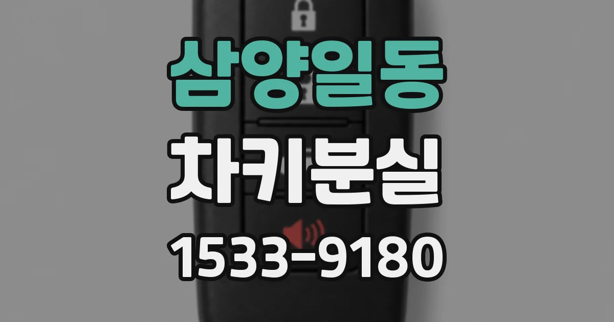 삼양일동 차키분실