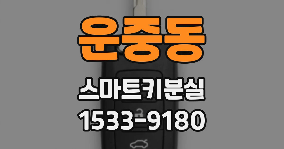 운중동 스마트키분실