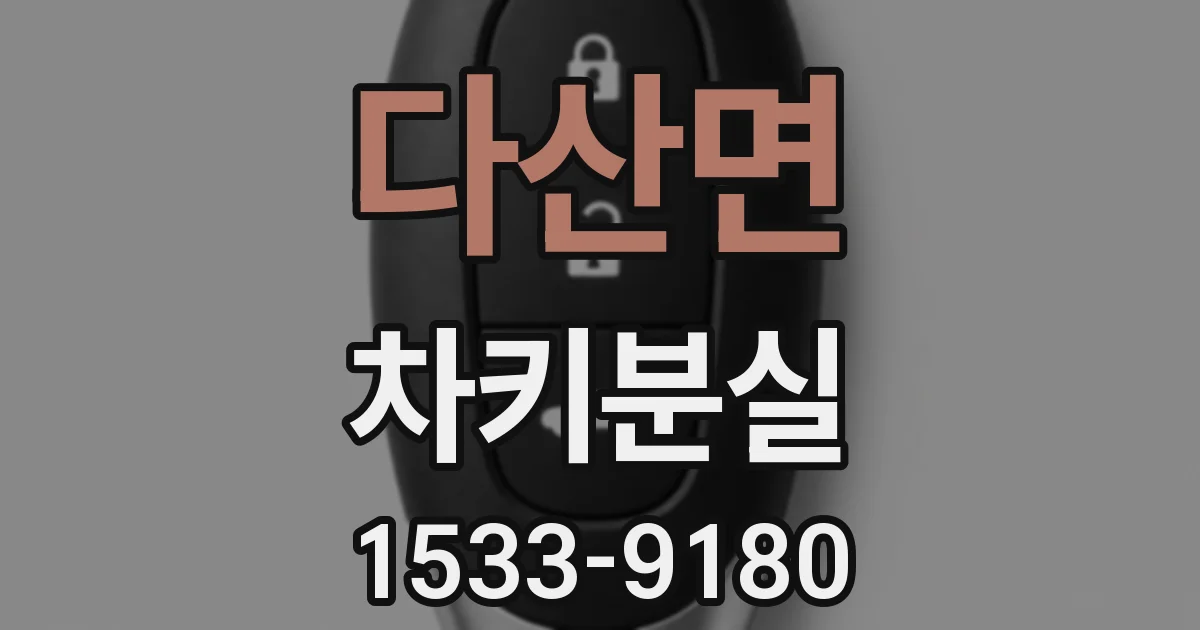 다산면 차키분실