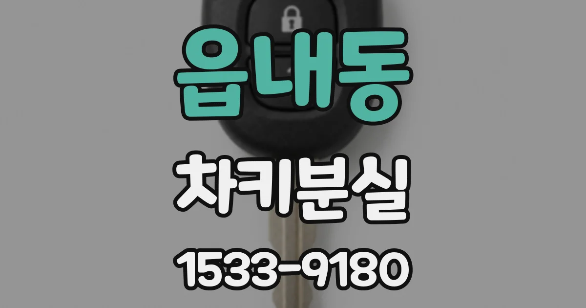 읍내동 차키분실