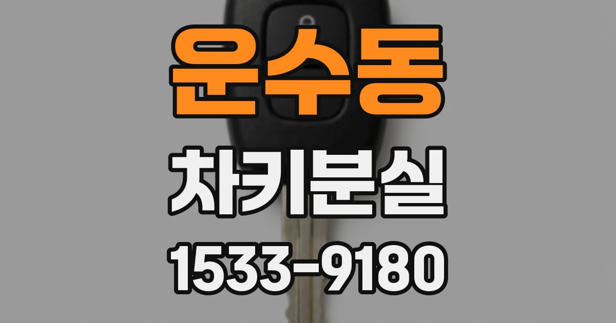 운수동 차키분실