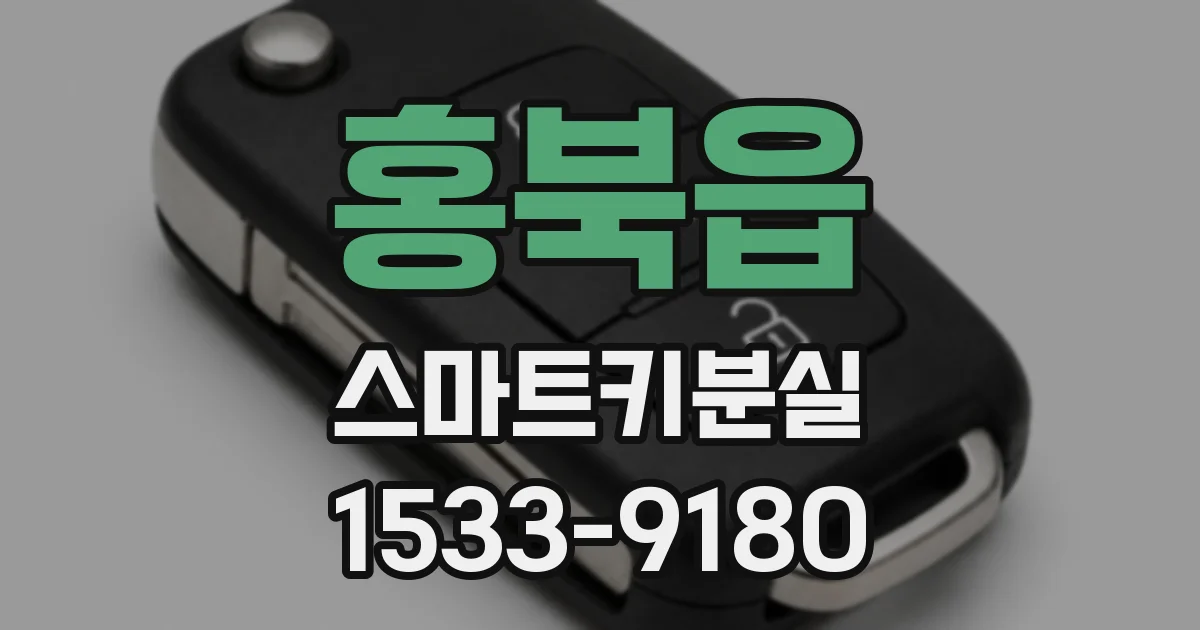 홍북읍 스마트키분실