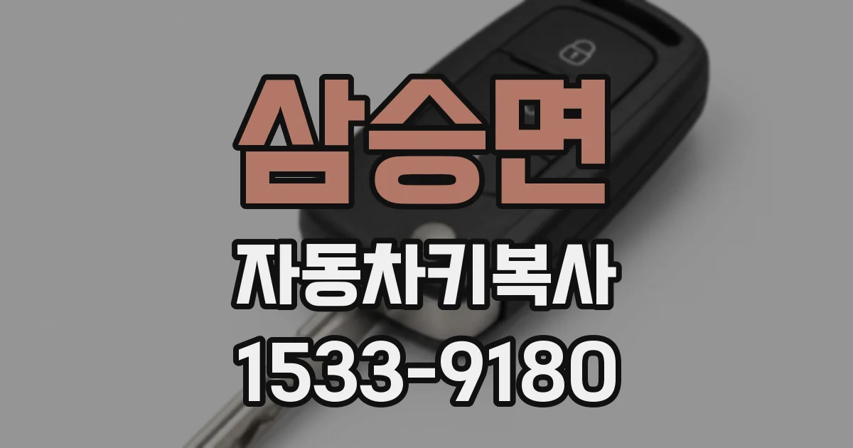 삼승면 자동차키복사