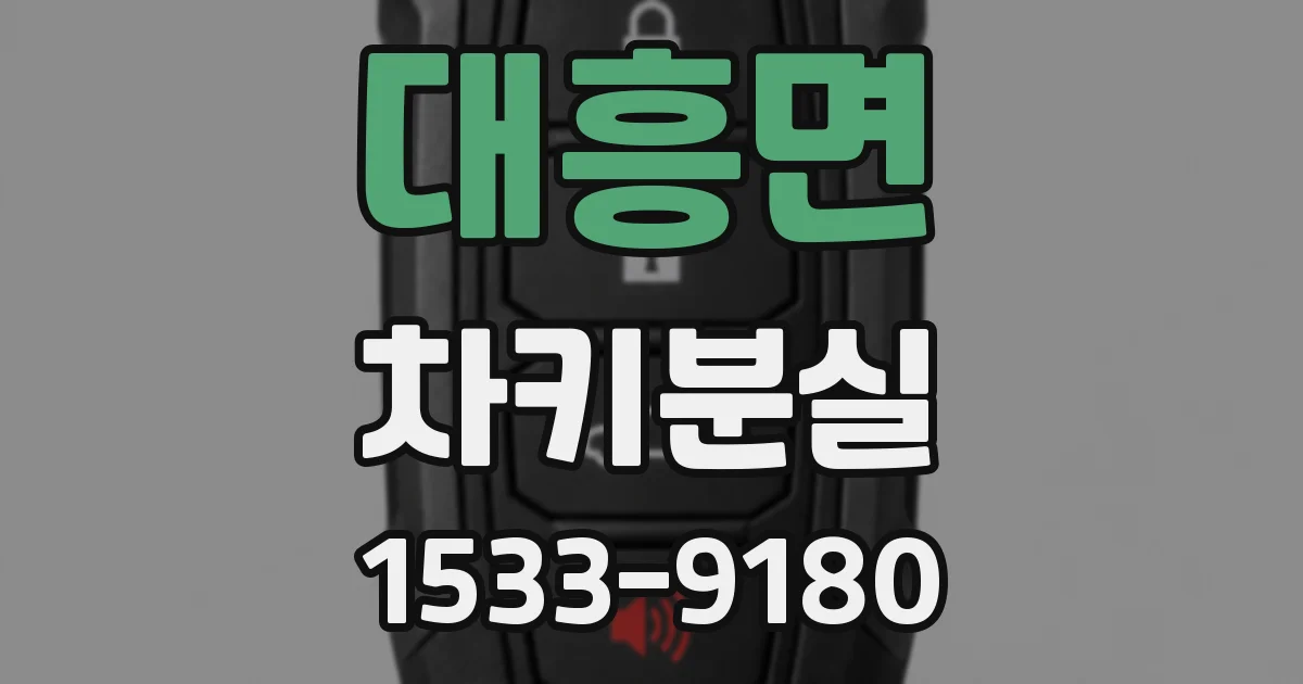 대흥면 차키분실